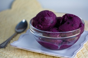 Vegan Blueberry Frozen Soy Yogurt